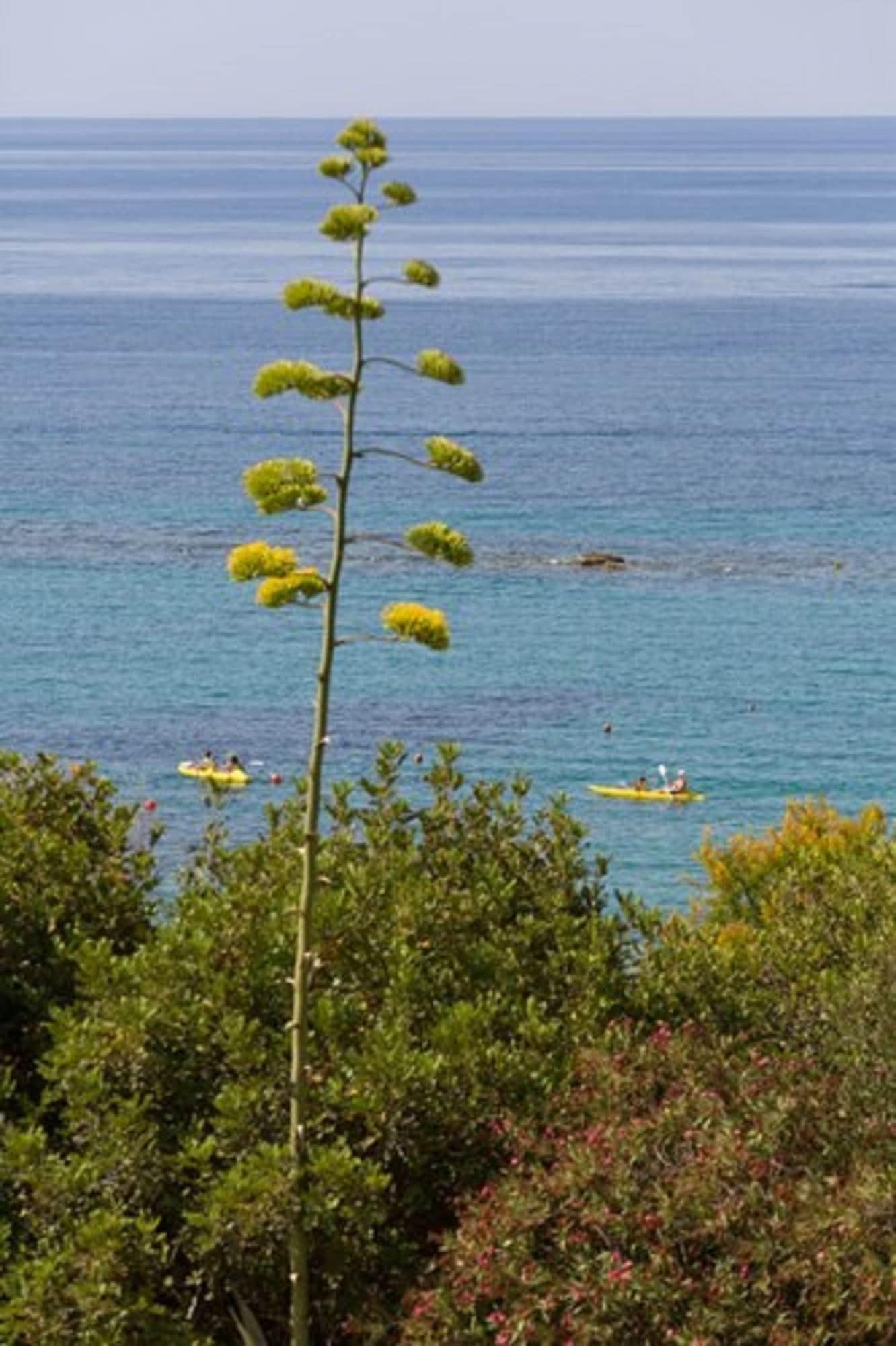 Hotel Lipari Club Sciacca Esterno foto